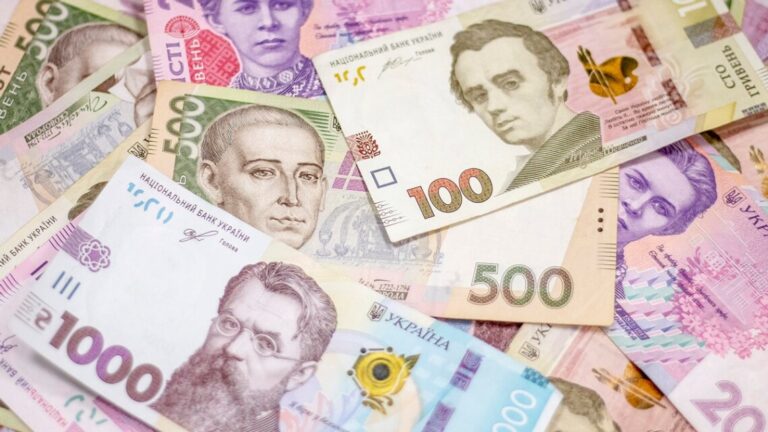 Українці намагались ввезти в Румунію $1,4 млн готівкою, сховавши її під одягом
