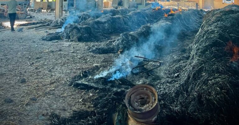 Окупанти намагаються залишити «українську Венецію» на Одещині без води — РДА
