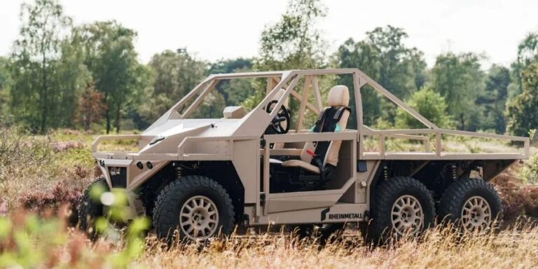 Rheinmetall на замовлення Нідерландів виготовить 20 багі Ermine для України