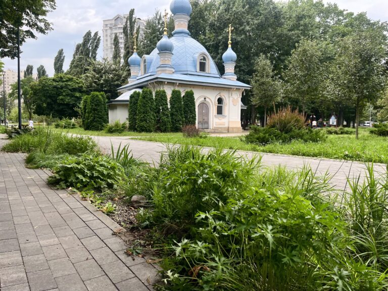 У столиці планують облаштувати ще кілька нових локацій з дощовими садками