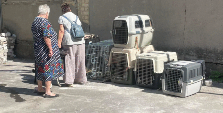На Вінниччині евакуйованим з-під Покровська бабусям місцеві заборонили заселятися до будинку, бо ті були з собаками