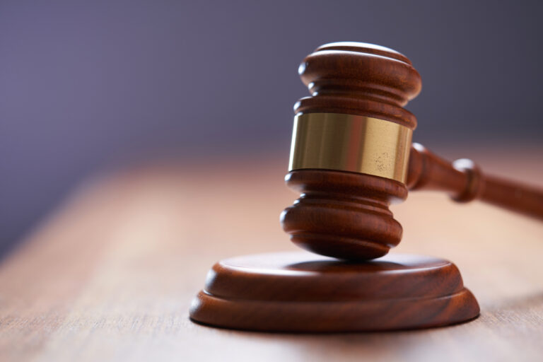 Суд відібрав землю у “Карпатської ВЕС”, яка виявилась боржником