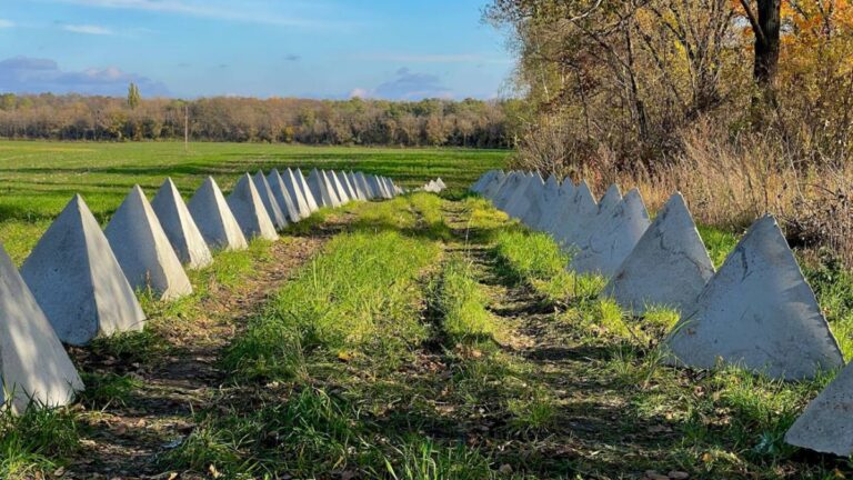 Компанія, пов’язана з нардепом, продавала “зуби дракона” для Сумщини за завищеними цінами — Bihus.Info