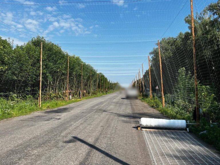 На Сумщині над дорогами будують “антидронові тунелі” – Генштаб