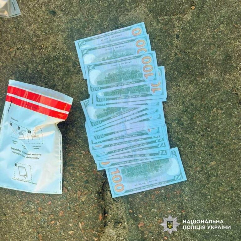 «Ваша мобілізація під контролем: як у Києві створили бізнес на документах»