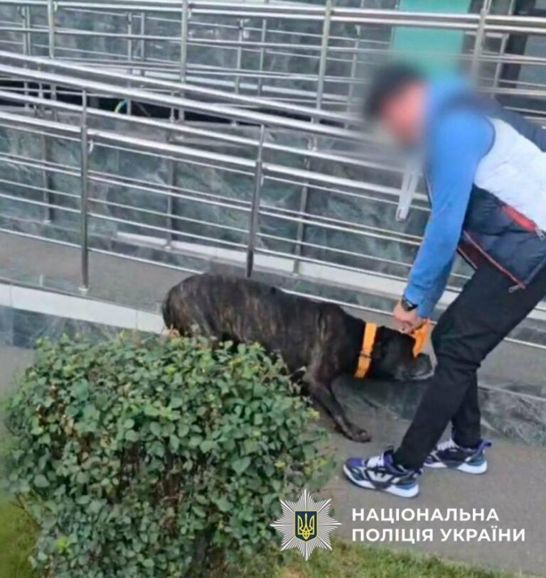 Шокуюча ситуація в Києві: чоловік розправлявся з собакою, і поліція змушена була втрутитися