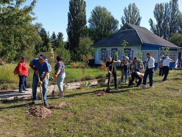 У Києві зацвіла «Алея Бахмута»: деталі