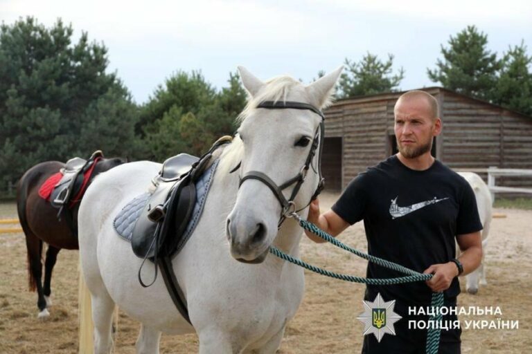 Відновлення емоційної гармонії: як київські поліцейські знаходять підтримку в іпотерапії