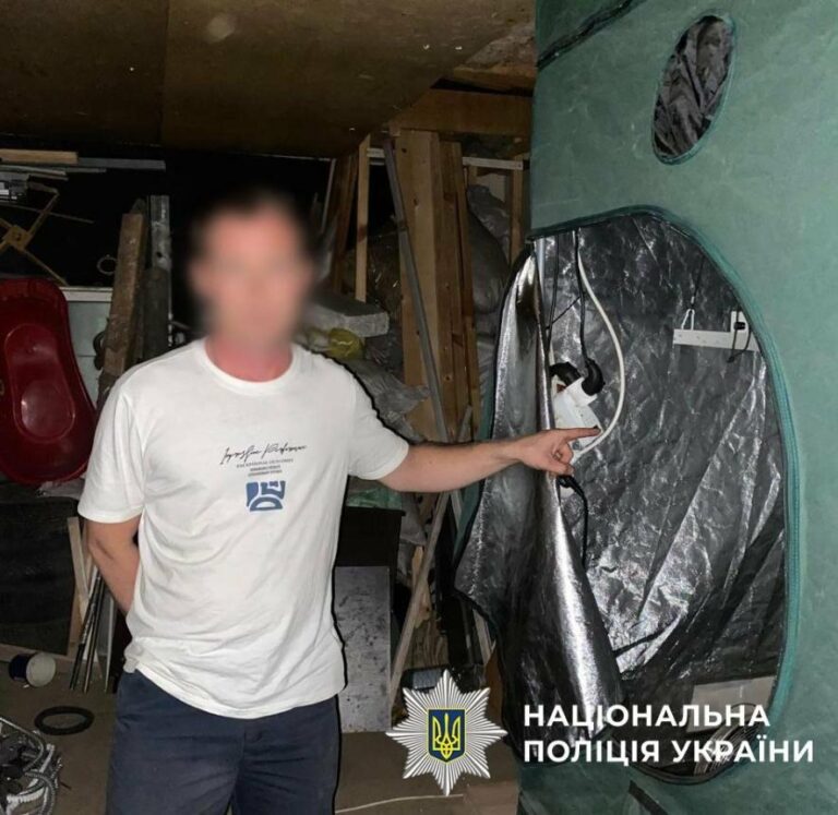 Канабіс на мільйон: у Києві наркоторговці вирощували та відправляли наркотики поштою