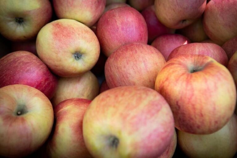 В Києві можуть зникнути свіжі продукти: де встигнути купити