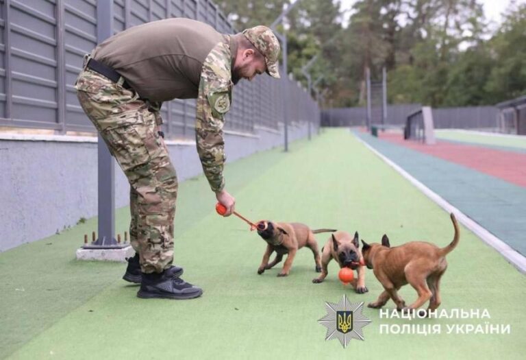 У Київській області чотирилапі помічники допомагають ветеранам: унікальна терапія для бійців
