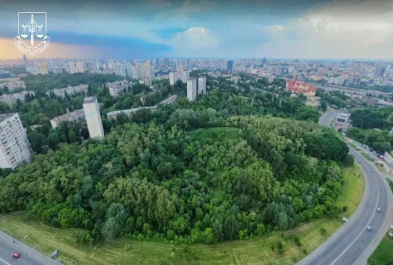 Суперечки за екологічну спадщину: у Києві зберегли заповідний статус «Протасового Яру» – всі деталі події