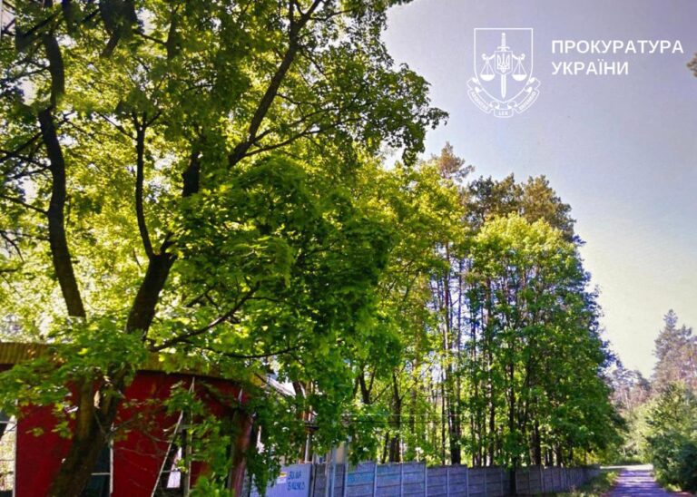Києву повернули 16 гектарів лісу, які хотіли забудувати