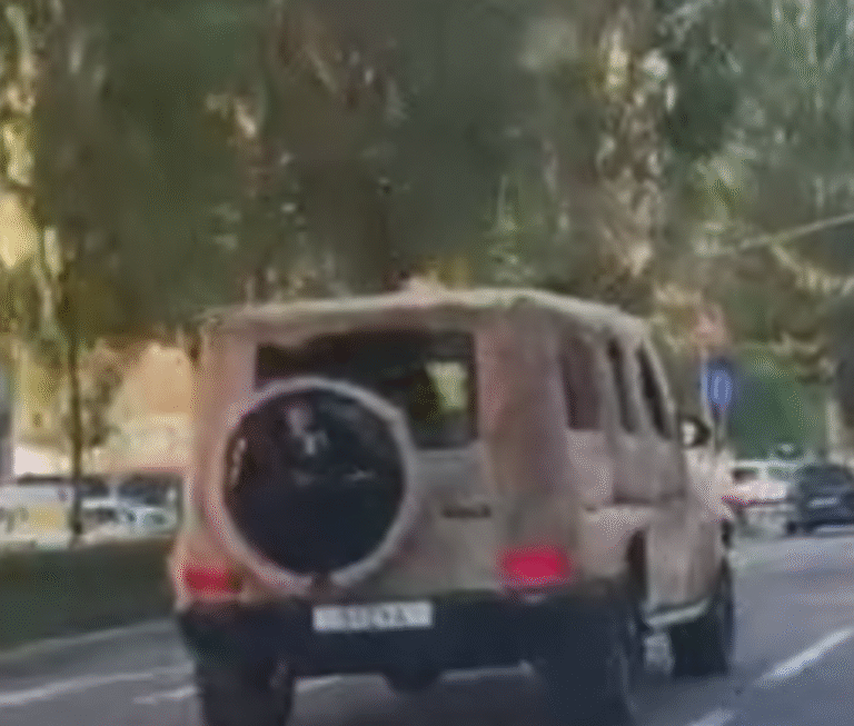 У Києві автомобіль “вбрався” у пуховик: поради, як не змерзнути на дорогах – ВІДЕО