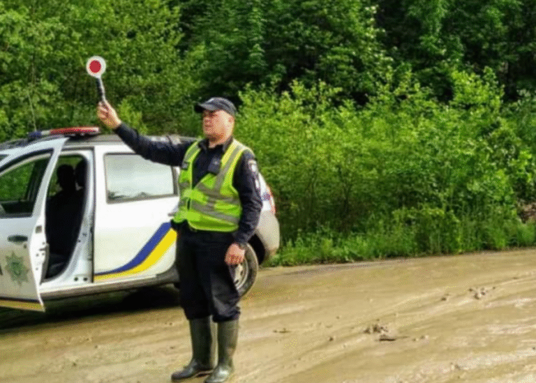 Вантажівка потрапила в зелену безодню та перевернулась: деталі аварії – ФОТО