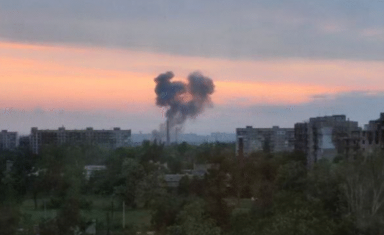 У Києві застиглий в страху кіт став свідком падіння БпЛА – ВІДЕО