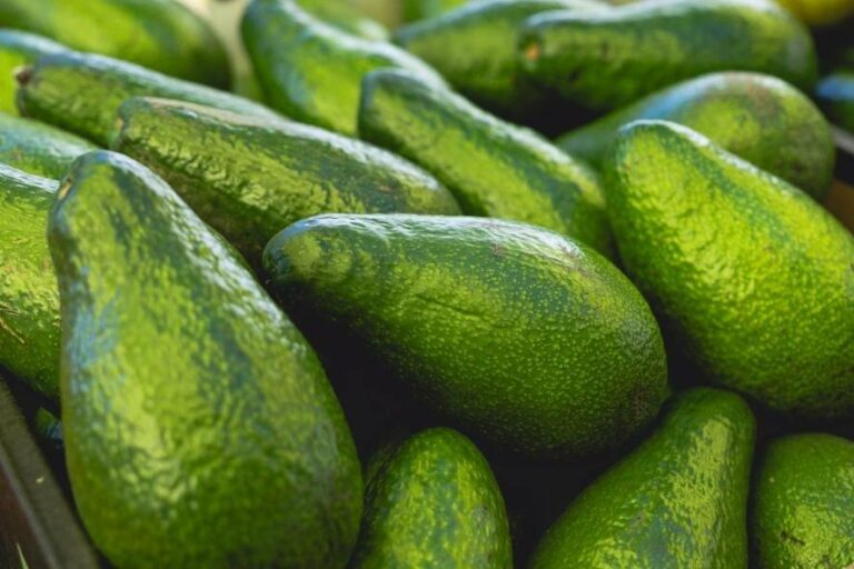 Київ готується до тижня ярмарків: дати та адреси для purchases продуктів.