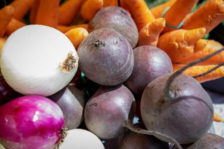Продуктові ярмарки у Києві цього тижня: як заощадити без посередників