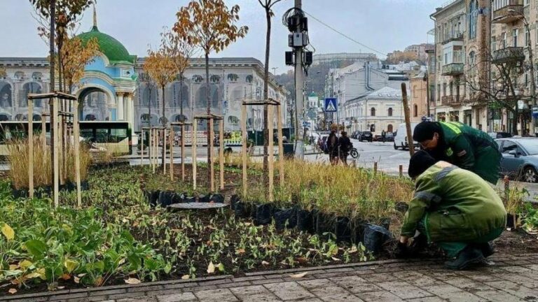 Київ отримав зелений апгрейд: на Контрактовій відкрили новий сквер з тисячами квітів