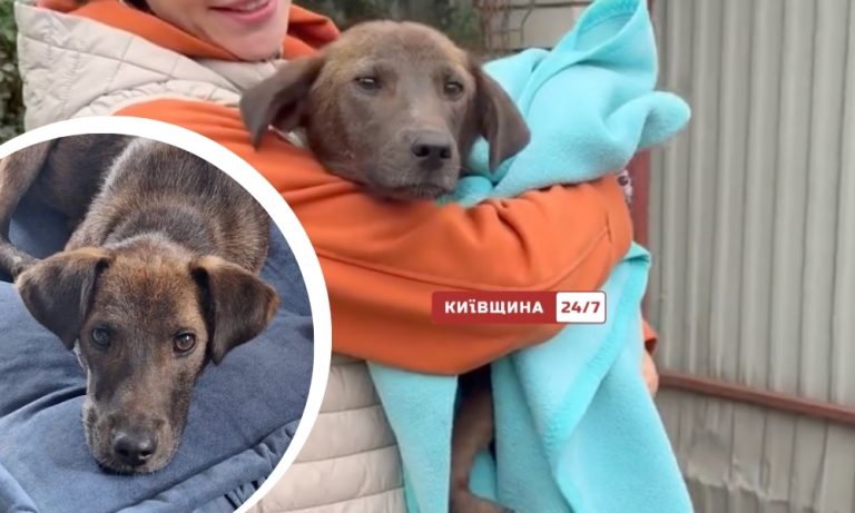 Джессі: цуценя, що подолало знущання та отримало новий дім у Києві