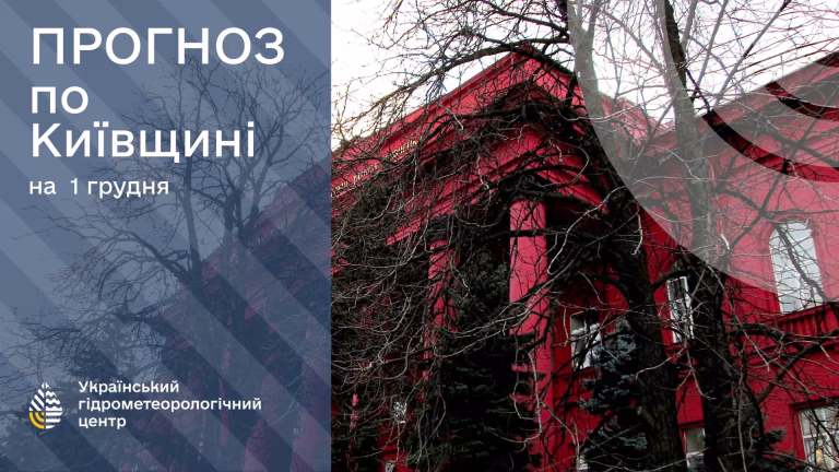 Киян 1 грудня потішить тепла погода — до +7° і без опадів