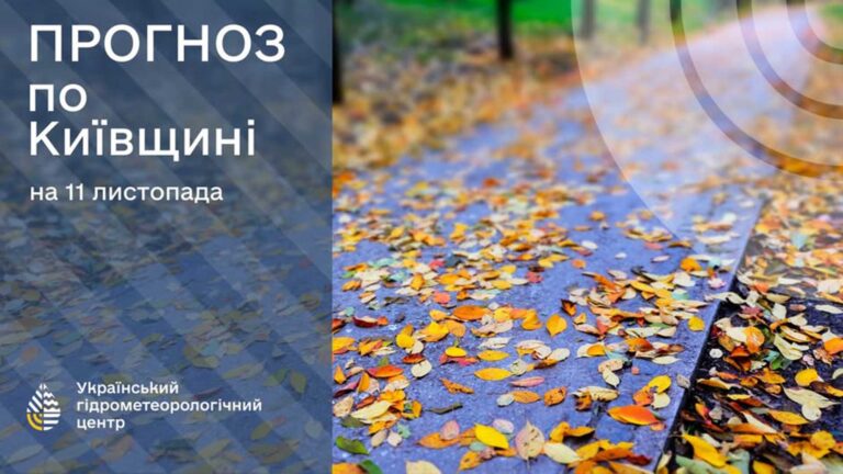 Київ, 11 листопада: дощі з температурою +8…+10°