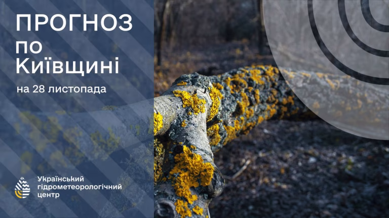 Вранці в Києві очікується дощ і ймовірна ожеледиця — прогноз погоди на 28 листопада