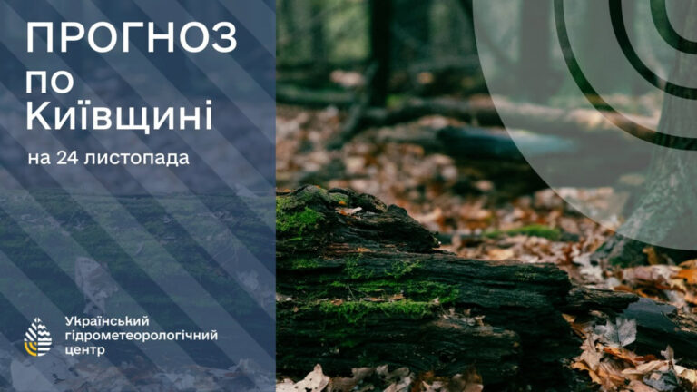 Київщина на порозі різких змін у погоді: детальний прогноз на 24 листопада
