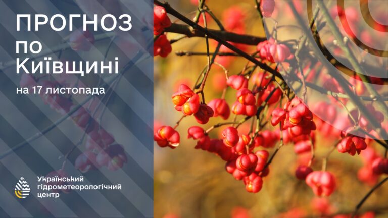 Київ 17 листопада: сонячний день після дощової ночі — синоптичний огляд