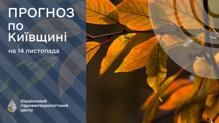 Погода в Києві 14 листопада: температура до +10° без дощу