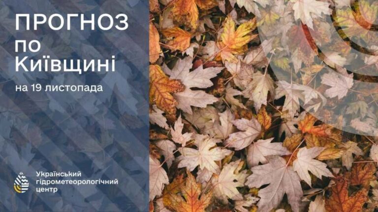 Нічні морози та прохолодний день: прогноз погоди в Києві 19 листопада