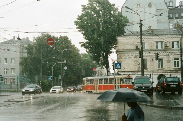 Погода в Києві та області 23 листопада: дощ та температура до +8°