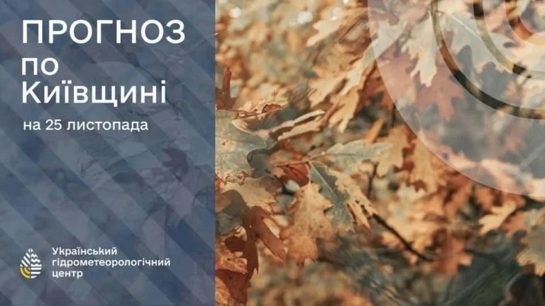 Спокійні дні у Києві: 25 листопада без дощу та туману з ясною погодою