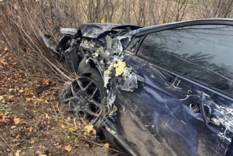 Аварія на Київщині: автівка зіткнулася з деревом поблизу дороги – ФОТО