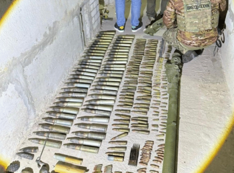 Небезпечна знахідка в Київщині: поліція виявила схованку з сотнями вибухівок