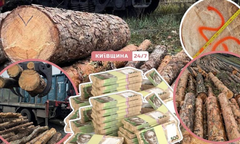 Контрабанда на Київщині: правоохоронці вилучили 2 000 колод сосни вартістю мільйон гривень