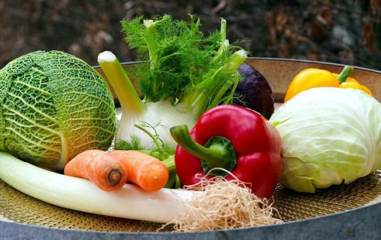 Київський ярмарок: дати та місця для покупки свіжих продуктів!