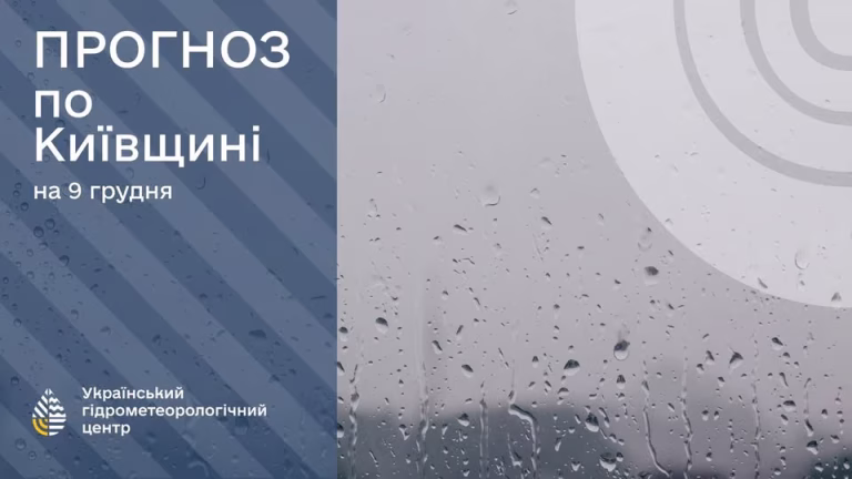 9 грудня в Києві очікується дощ і підйом температури до +4°