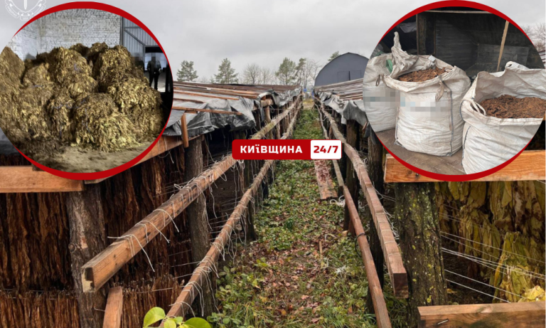У Київській області виявили підпільну тютюнову фабрику, конфісковано продукції та сировини на понад 25 млн грн