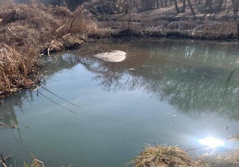 У Києві рятують Горіхуватські ставки від мулу та гнилі