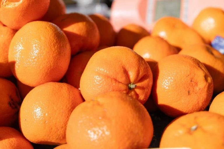 Купуйте без посередників — де в Києві знайти найсвіжіші продукти