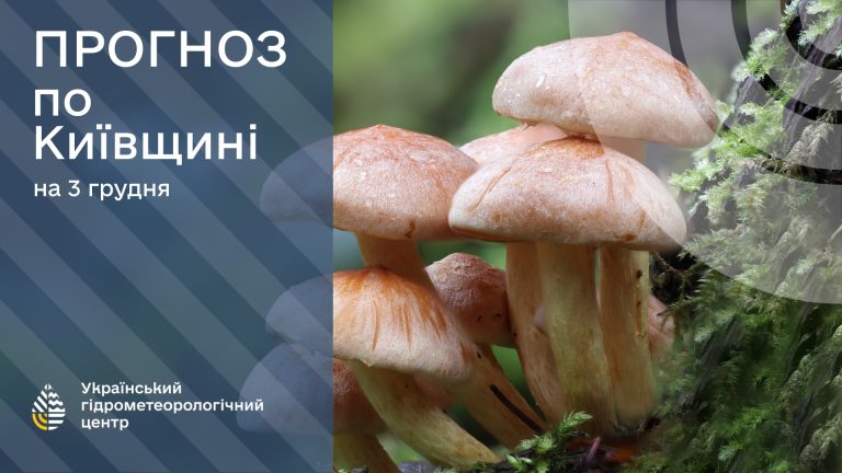 3 грудня у Києві та області — хмарно, можливі дрібні дощі