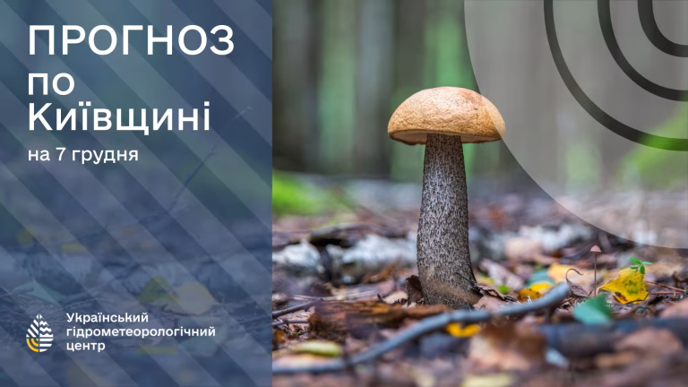 7 грудня у Києві очікується суха погода і до +4° — синоптики повідомили прогноз