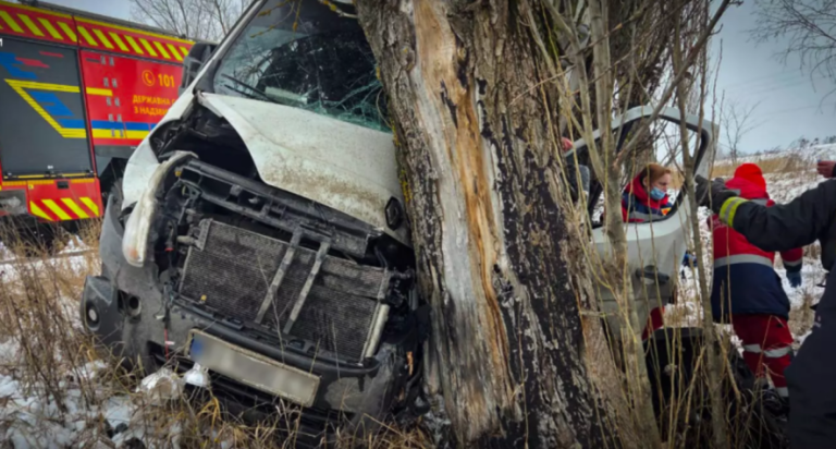 Жахлива ДТП на Київщині: легковик зіскочив із дороги й застряг у дереві — ФОТО