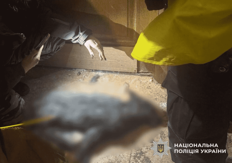 У київській квартирі знайдено вовка та мертву лисицю — поліція відкрила кримінальну справу за жорстоке поводження з тваринами