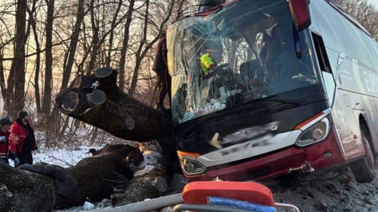 На Львівщині рейсовий автобус Відень—Київ в’їхав у дерево, семеро госпіталізовано