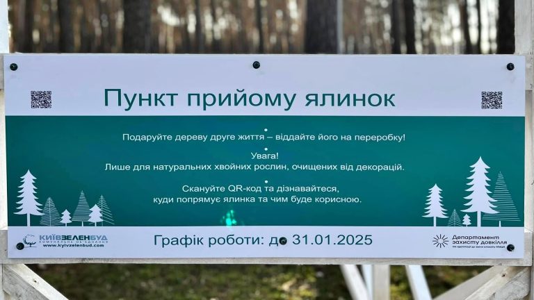 До 31 січня в Києві працюватиме мережа з 78 пунктів прийому ялинок