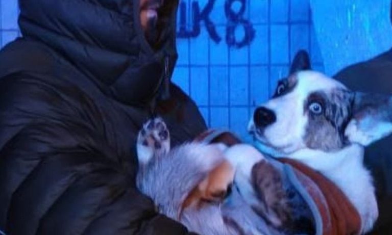 Пожежа в підвалі київської багатоповерхівки: рятувальники евакуювали 20 мешканців на свіже повітря