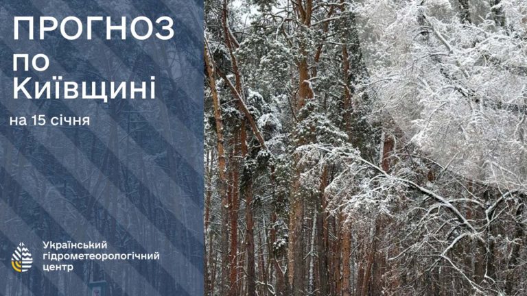 Місцями до -23°: де на Київщині 15 січня зафіксували найсильніший мороз