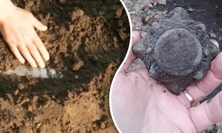 Несподівана знахідка на городі: українець натрапив на артефакт із часів Київської Русі